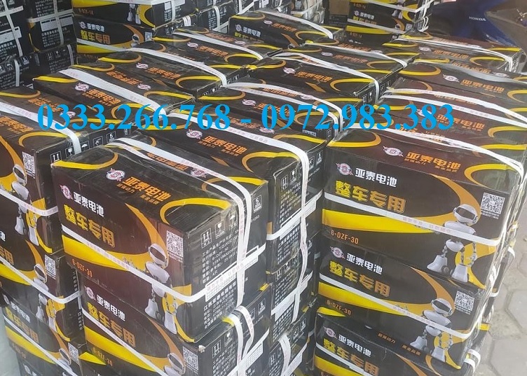 Đại lý ắc quy xe đạp điên - xe máy điện tại Thanh Phố Hà Nội