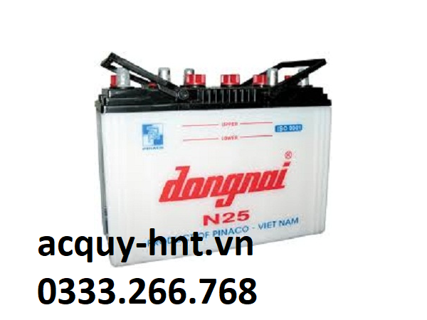 Ắc Quy Khởi Động Đồng Nai N25 (12V-25AH)