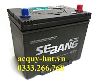 Ắc quy SeBang NX100-S6L (12V-45AH)